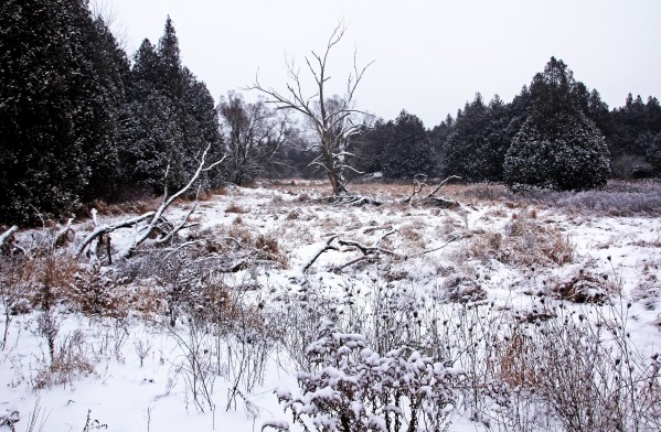 Quiet Winter by Deb Oppermann